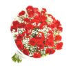 floricultura online e entrega de flores - paixão de rosas vermelhas 36 unid
