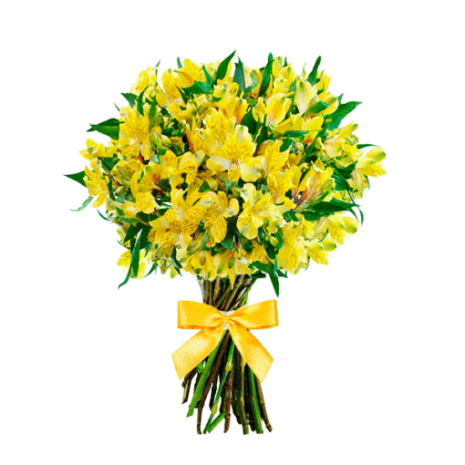 floricultura online e entrega de flores - astromélias amarelas