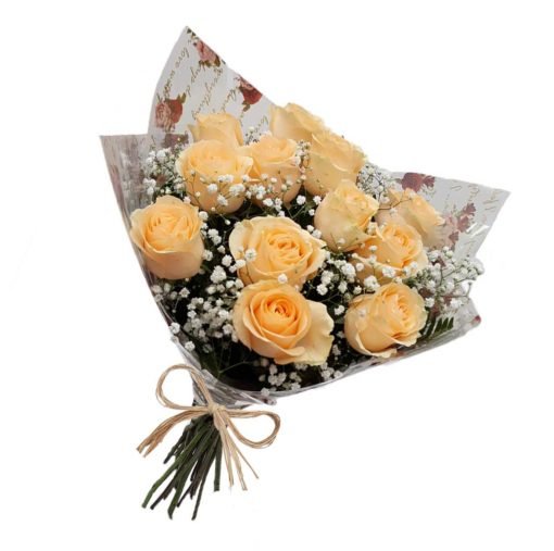 floricultura online e entrega de flores - buquê 12 rosas champagne